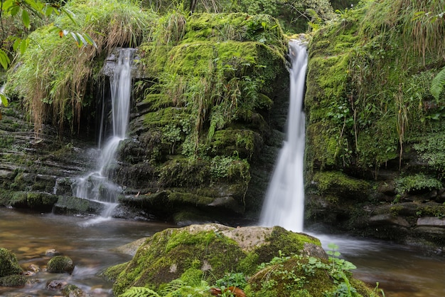 Beautiful scenery of a waterfall in a deep forest