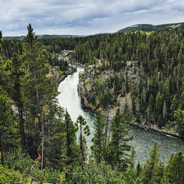 Beautiful scenery at yellowstone national park