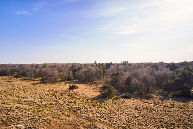 Bellissimo paesaggio autunnale panoramico di prati marroni e cespugli con un cielo azzurro e spazio per la copia campo con terra e terra durante la stagione autunnale vista di una remota campagna in danimarca