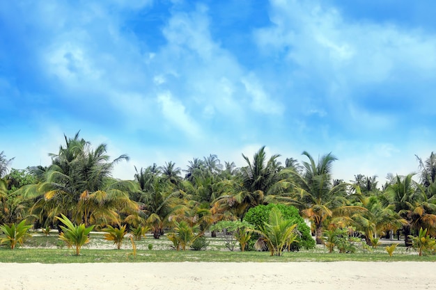 Beautiful sea beach at tropical resort