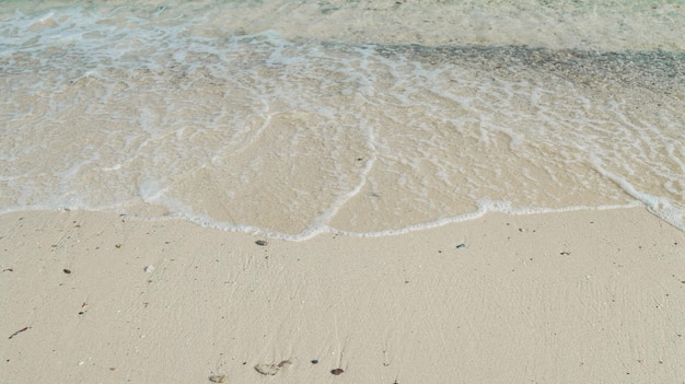 タイの美しい海ラン島