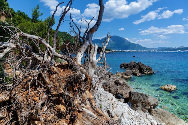 モンテネグロの美しい海の風景