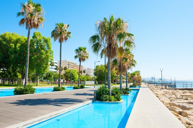 Beautiful sea promenade with palms in Limassol, Cyprus