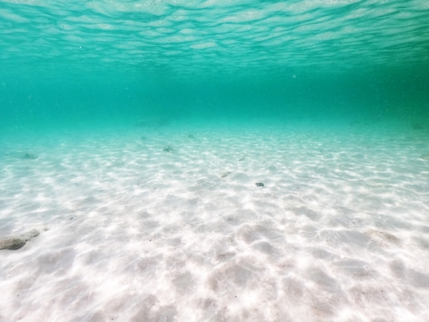 Foto bello sotto il mare, lo snorkeling sabbia bianca