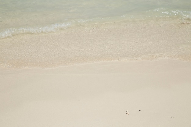 美しい海の夏か春の抽象的な背景