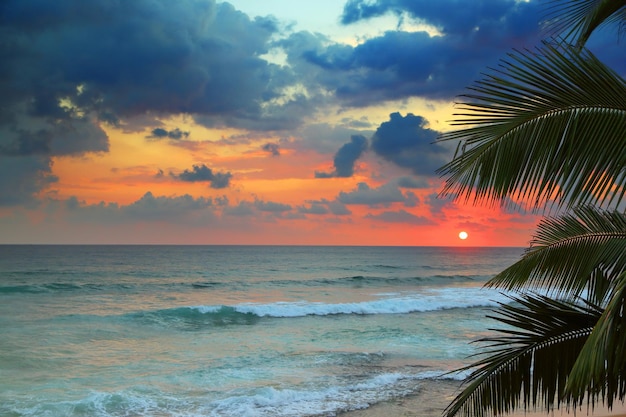 Beautiful sea sunset and palm leaves