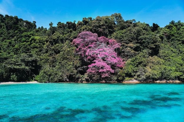 Beautiful sea with clear sky and island