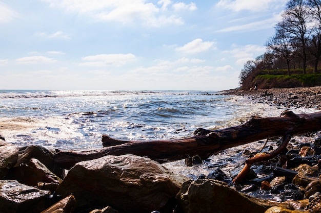 Foto bellissimo paesaggio marino. grandi rocce e surf.