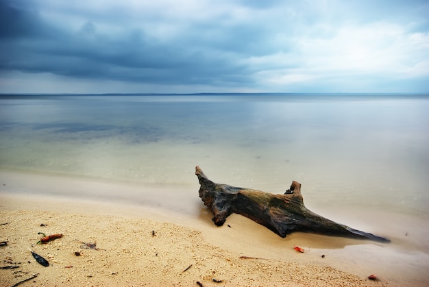 Beautiful seascape. Composition of nature.