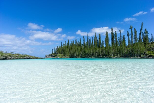 Beautiful seascape of natural swimming pool of oro bay isle of pines new caledonia aquamarine translucent water