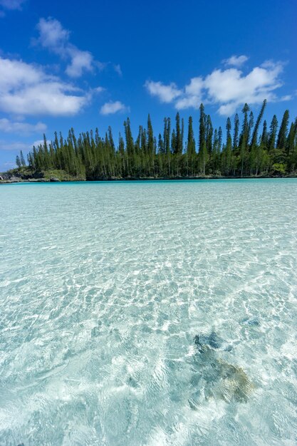 Beautiful seascape of natural swimming pool of oro bay isle of pines new caledonia aquamarine translucent water