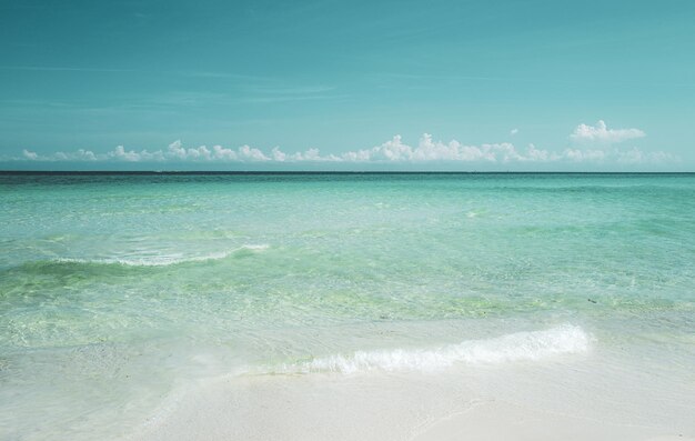 青い空の砂の太陽と美しい海の景色のパノラマの海のビーチ