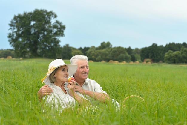 Beautiful senior couple in a summer field