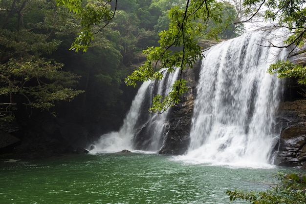 美しいセラエラワテフォール、スリランカ