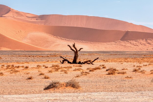 Photo beautiful sesriem landscape in namibia africa