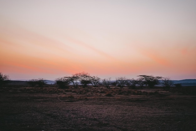 ケニアのサファリの野原に沈む美しい夕日