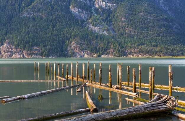 Foto bellissimo litorale al tramonto in bella coola, canada