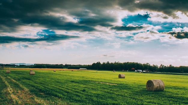 Beautiful shot of an agricultural field under a bright sky