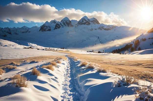 Beautiful shot of an amazing snowy landscape under the sunlight