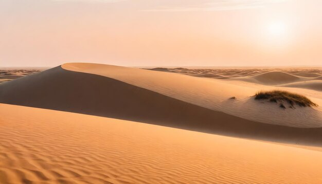 прекрасный пустынный песок с кустарниками ясное небо