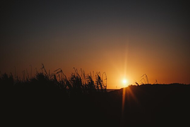 Beautiful shot of a golden radiant sunset on a beach