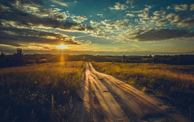 Beautiful shot of a path through a green meadow with a bright sunset sky