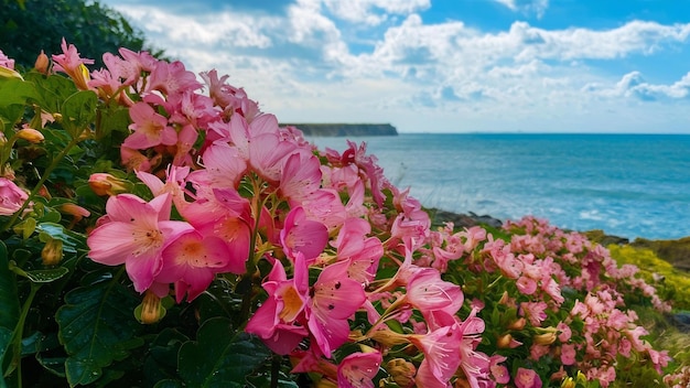 Beautiful shot of pink flowers by the sea on a sunny day in britain