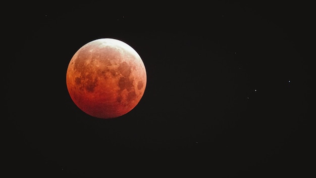 Beautiful shot of the red blood moon in a dark night sky