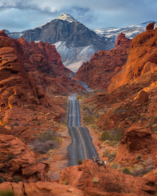 Beautiful shot of a road through the Valley of Fire State Park in Nevada