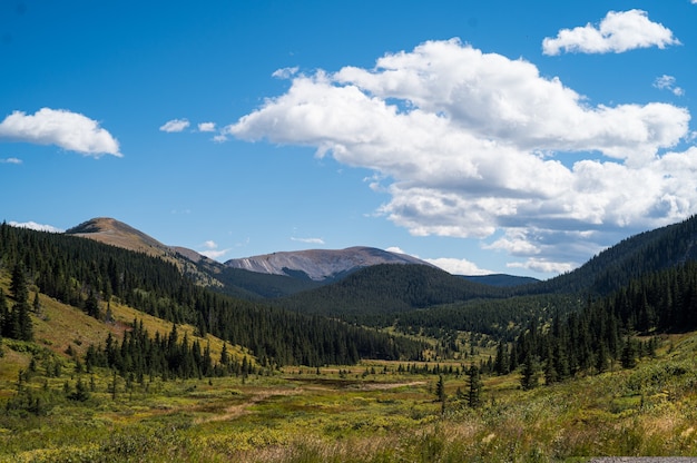 Beautiful shot of the Rocky Mountains and green forests during daylight