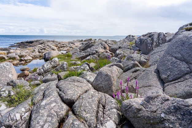 Beautiful shot of a rocky shore on the Hammerknuden Trail in Bornholm, Denmark