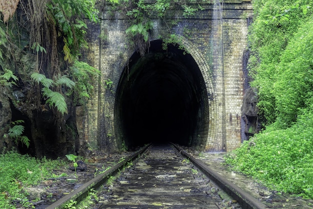 Beautiful shot of train rails surrounded by nature leading to the dark tunnel