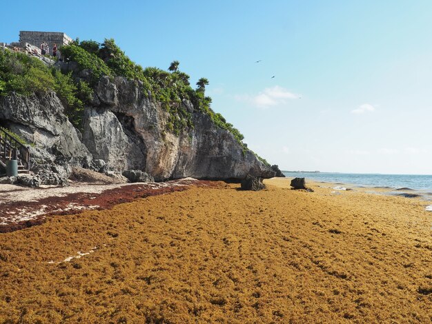 Beautiful shot of the Tulum National Park in Mexico during daylight