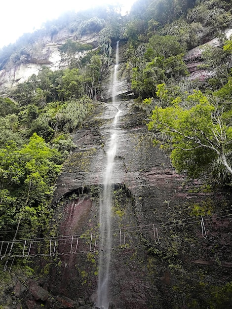 Beautiful shot of a waterfall coming down from mountains indonesia