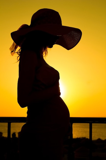 Beautiful silhouette of a pregnant girl on the background of nature background