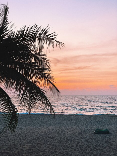 Beautiful silhouette of tropical coconut palm tree on empty beach with colorful sunset