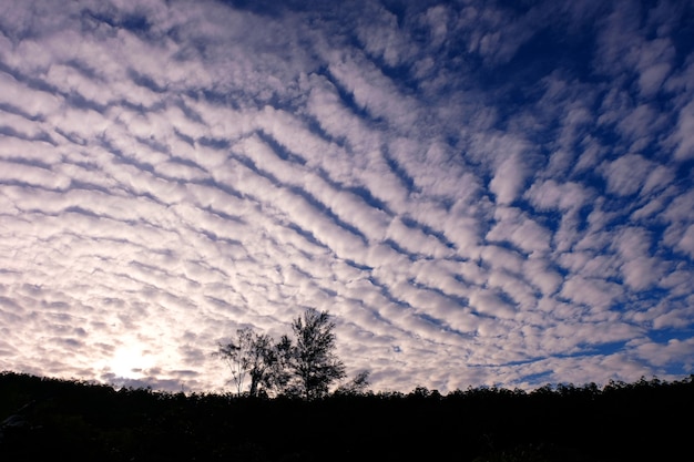 Foto bel cielo sulla collina, l'alba