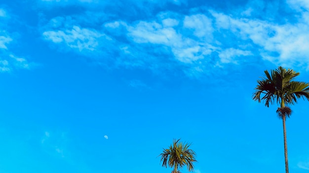 Beautiful sky in the morning with a little part of the moon