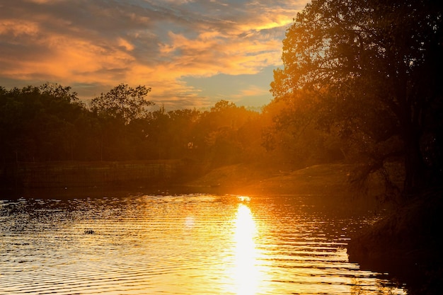 Beautiful sky sunset shot sun tree water landscape nature background