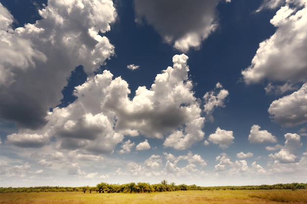 Photo beautiful sky with cloud.