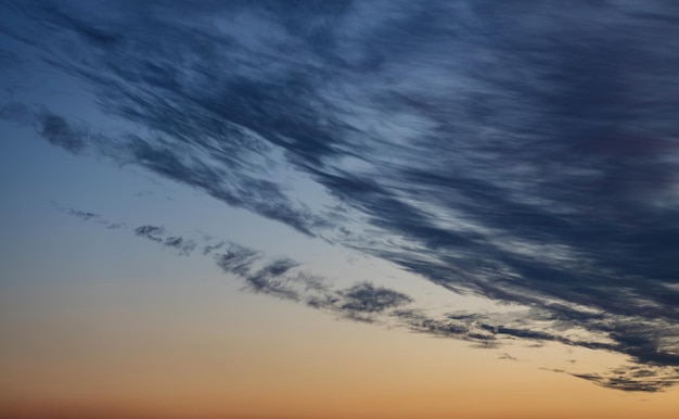 美空