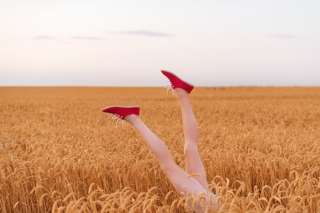 잘 익은 밀의 분야에서 튀어 나와 아름 다운 날씬한 여성 다리. 글루텐 무료 개념.
