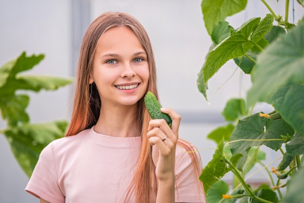 Una bella ragazza snella raccoglie i cetrioli in estate in una serra. mangia il cetriolo. raccolta estiva nell'orto