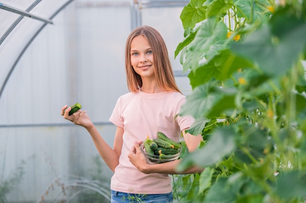 Una bella ragazza snella raccoglie i cetrioli in estate in una serra. mangia il cetriolo. raccolta estiva nell'orto