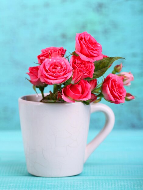 Beautiful small pink roses, on blue background