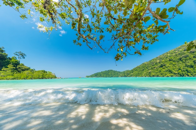 Beautiful small wave and water splashed at the beach, Located Surin Island, Thailand