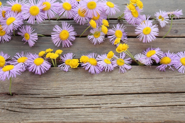 Beautiful small wild flowers on wooden background