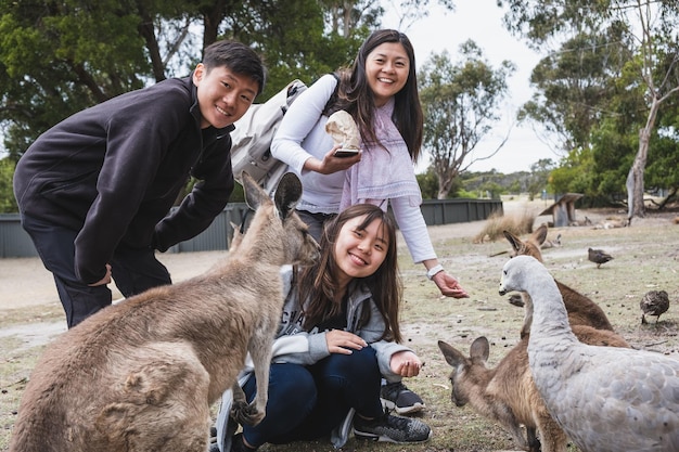 カンガルーのグループに餌をやる美しい笑顔の中国人家族