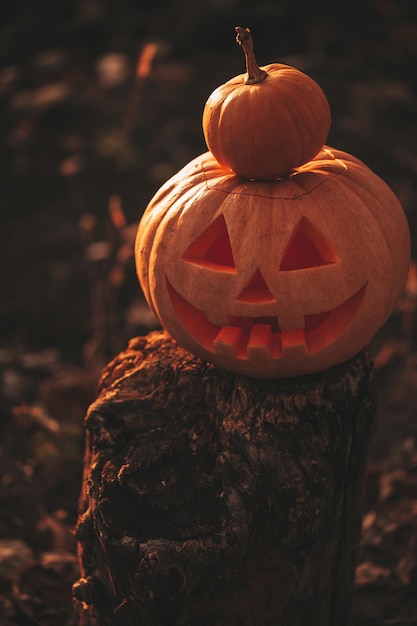 美しい笑顔のグロー オレンジ色の変な顔は屋外のハロウィーンの休日のためのカボチャを彫刻