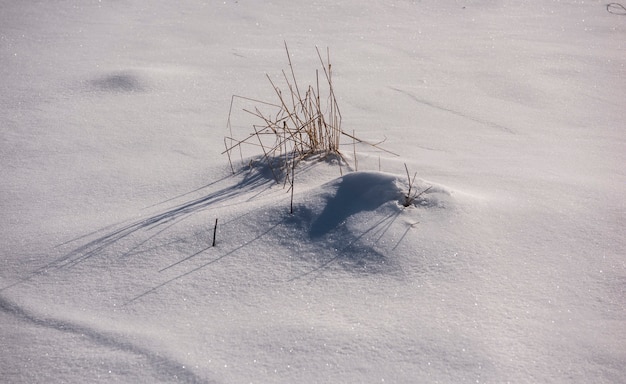 Beautiful snow background close up. Winter time